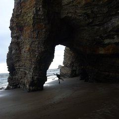 GirlsWildCat 071 : GirlsWildCat